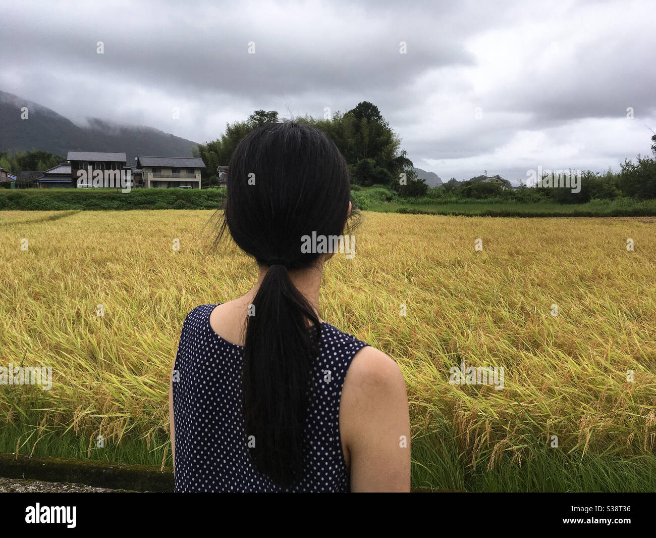 Ragazza che guarda campo con cielo grigio Foto Stock