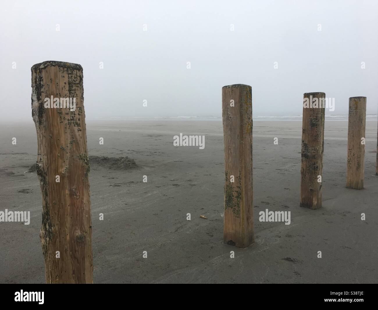 Colonne di legno sulla spiaggia nebbiosa Foto Stock