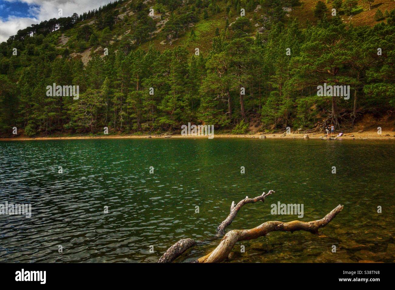An Lochan Uaine (il verde lochan) nel Glenmore Forest Park, Scozia. Foto Stock