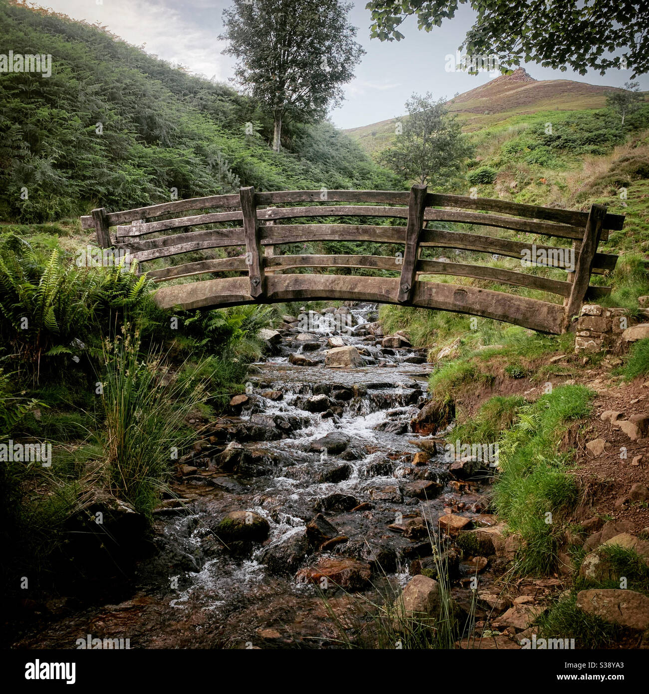 Footbridge a Grindsbrook Clough, Edale, Derbyshire Peak District, Regno Unito Foto Stock