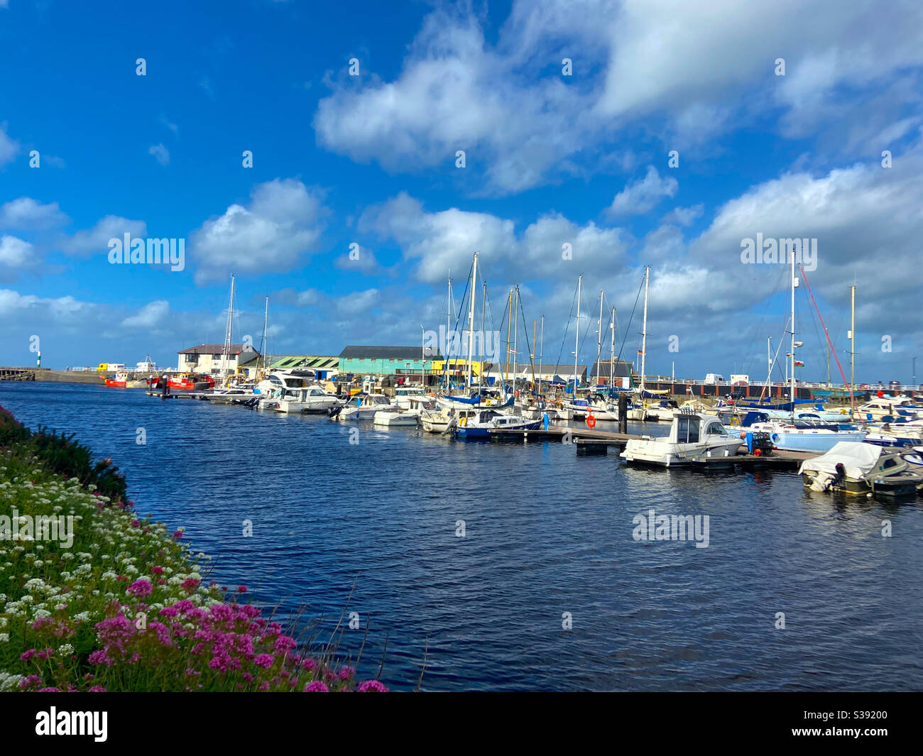 Aberystwyth, Galles occidentale, Regno Unito. Giovedì 20 agosto 2020. Tempo: Una giornata calda e soleggiata nel porto di Aberystwyth. Credito fotografico ©️ Rose Voon / Alamy Live News. Foto Stock