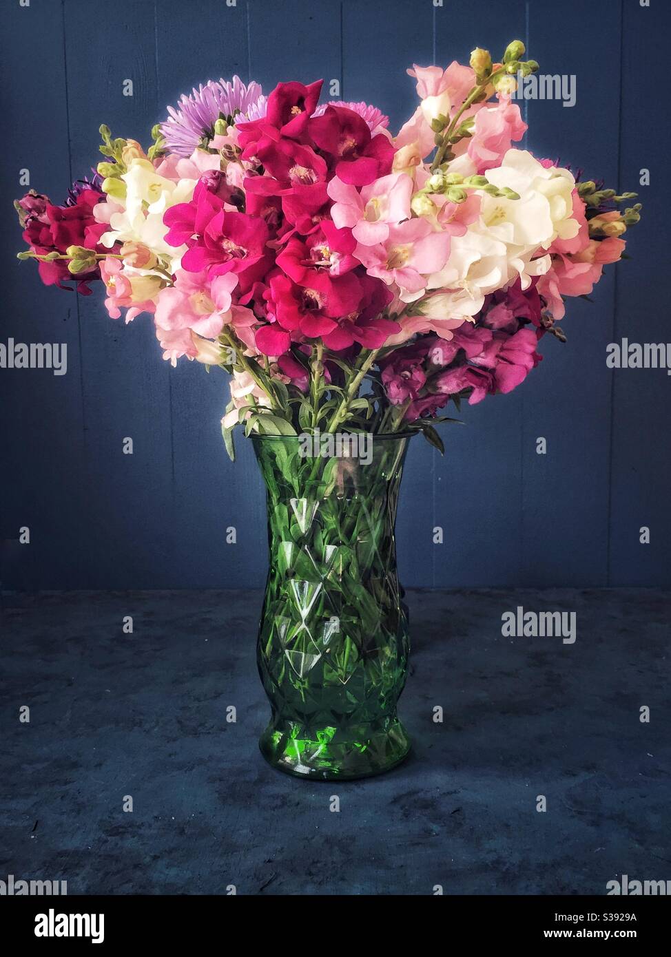 Bouquet di dentici da giardino in vaso di vetro. Foto Stock