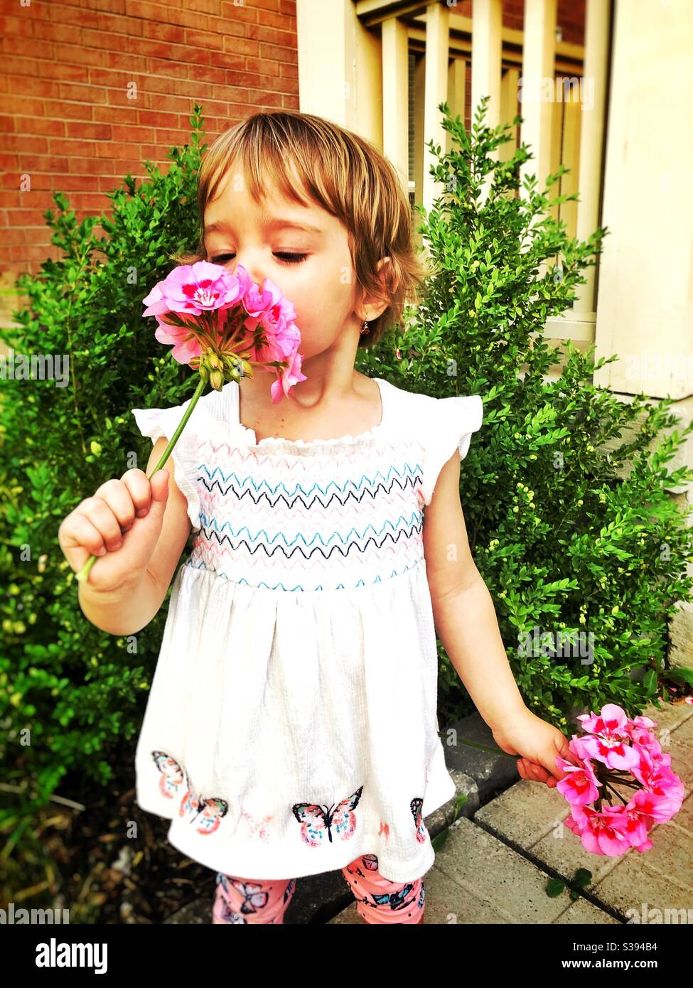 I bambini odorano fiori appena raccolti Foto Stock
