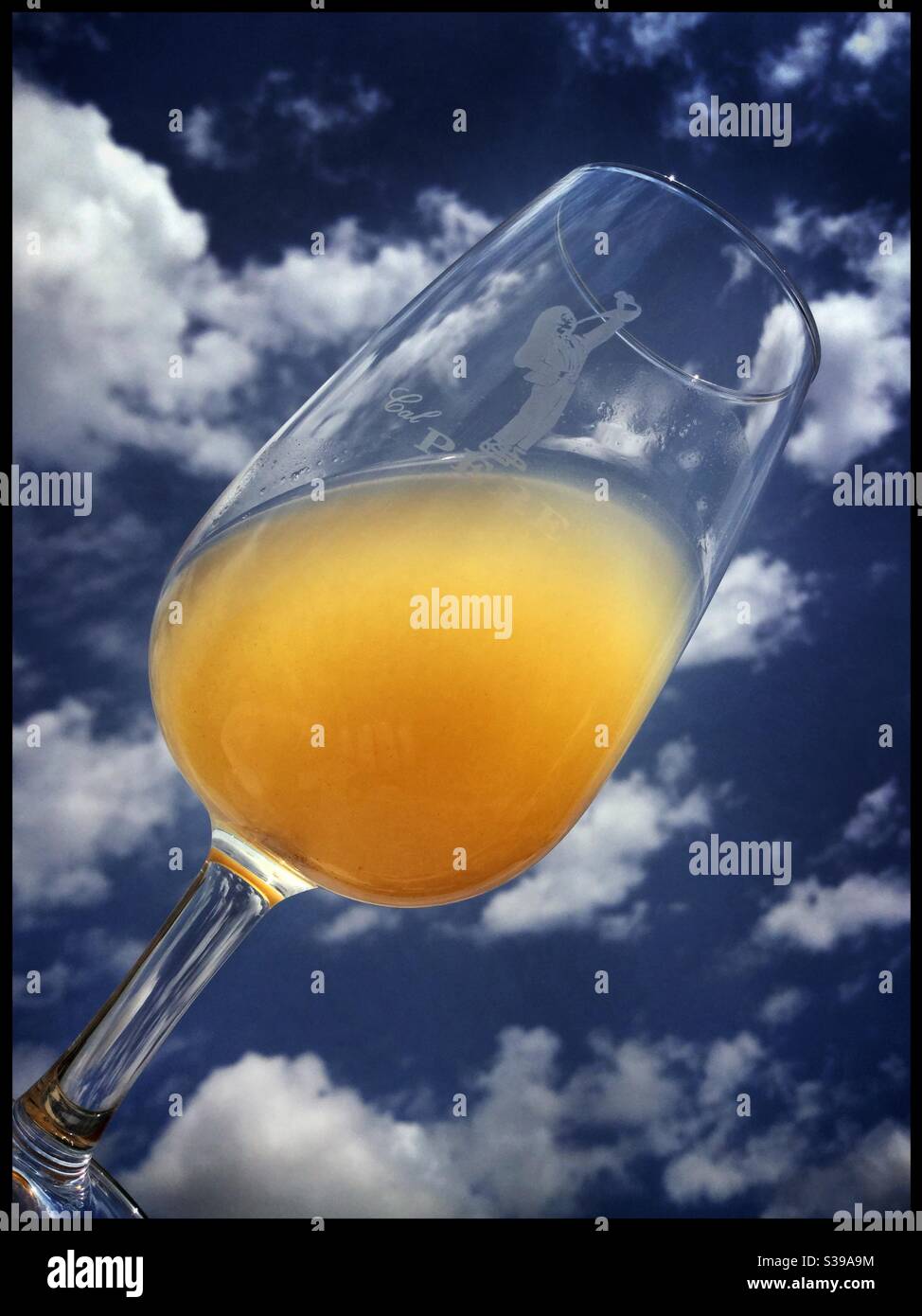 Succo d'uva Viognier, direttamente dalla stampa alla vendemmia, Catalogna, Spagna. Foto Stock
