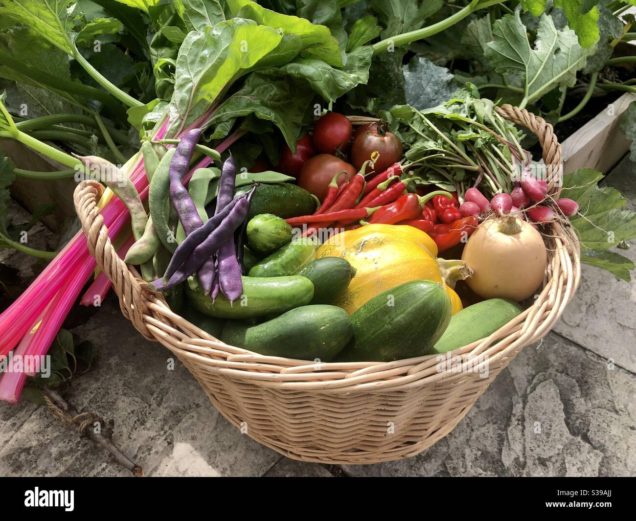 Un cestino pieno di bontà 🌱🍅💚❤️🥒🌶🥬 Foto Stock