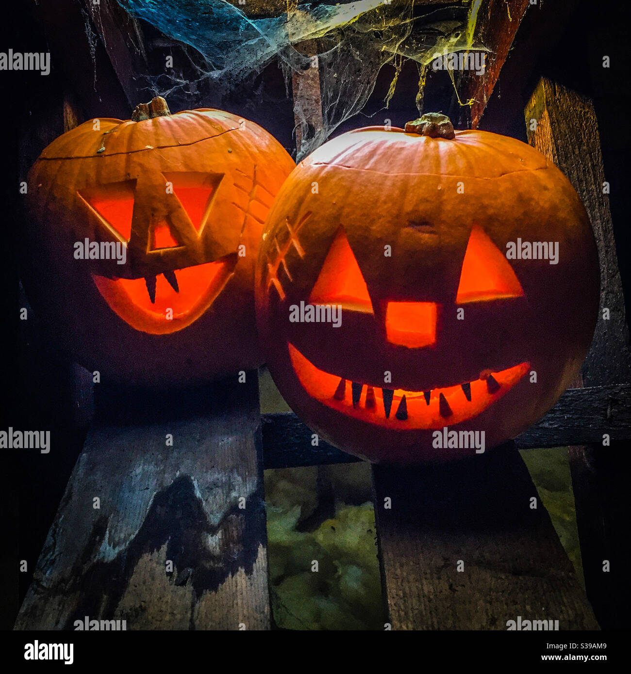 Zucche di Halloween Foto Stock