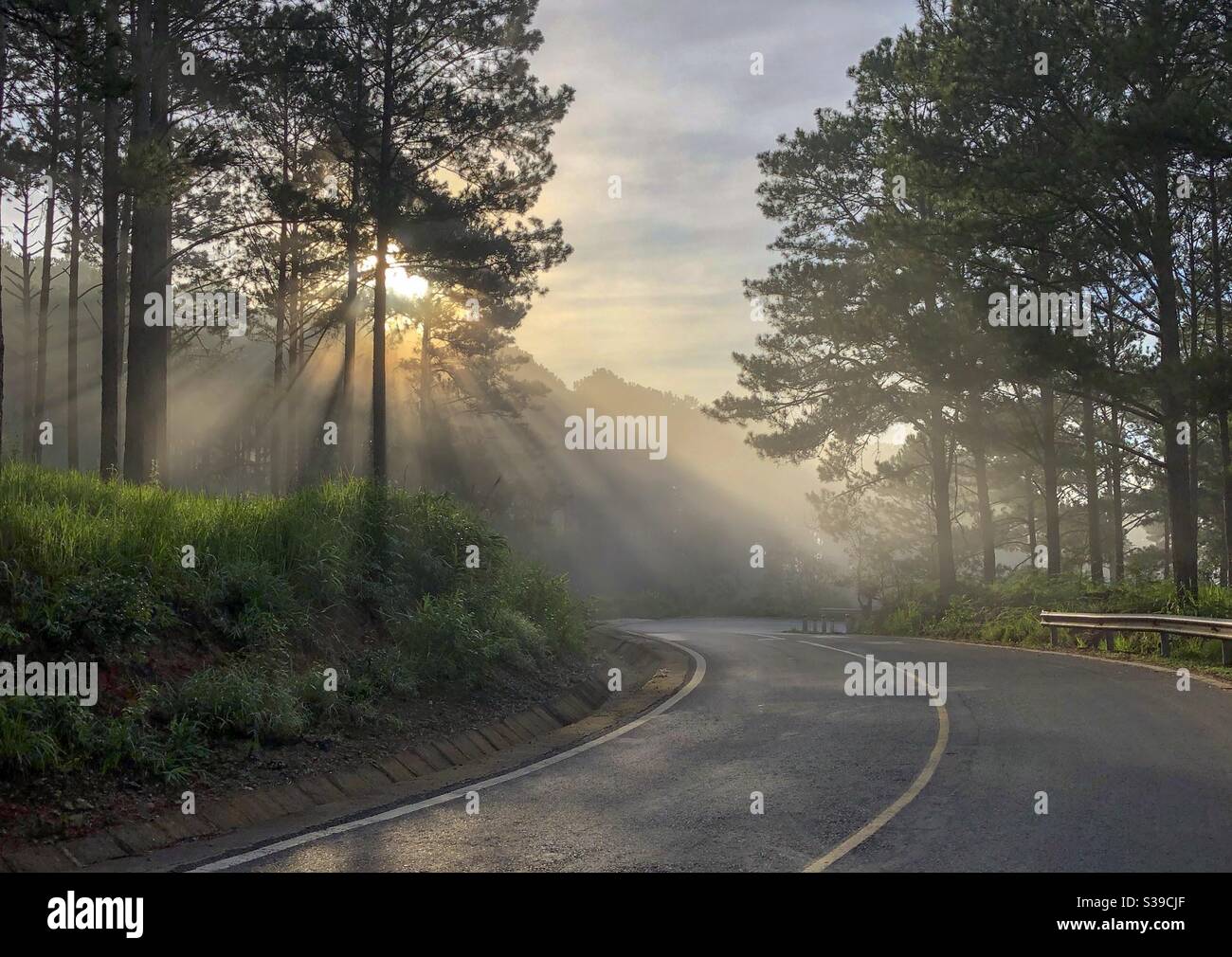 Những tia nắng đầu tiên Foto Stock