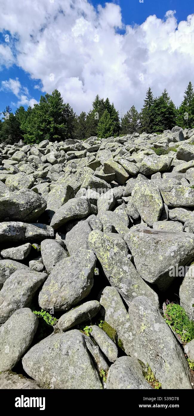 Paesaggi rocciosi sulla montagna Vitosha vicino Sofia, Bulgaria. Foto Stock