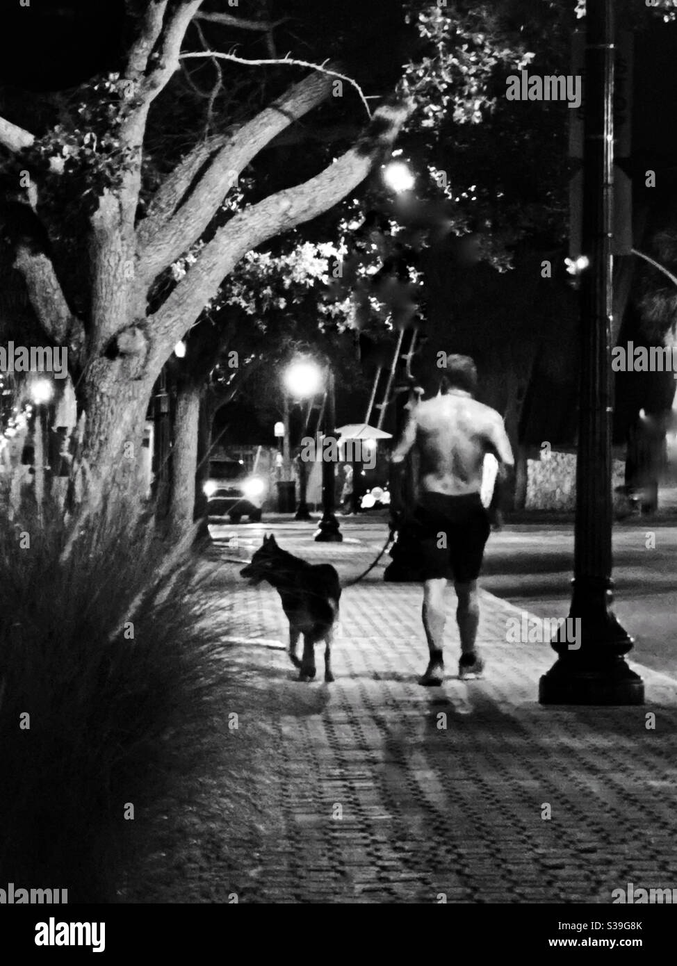 In una calda notte estiva l'uomo cammina il suo cane. Main St., Dunedin, Florida Foto Stock