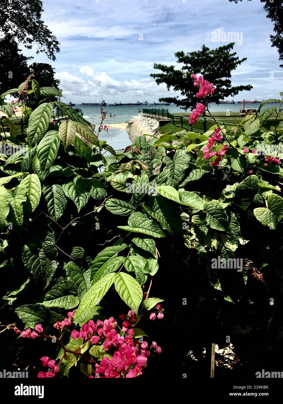 Bella calda giornata estiva nella tropicale Singapore presso la East Coast Beach. Foto Stock