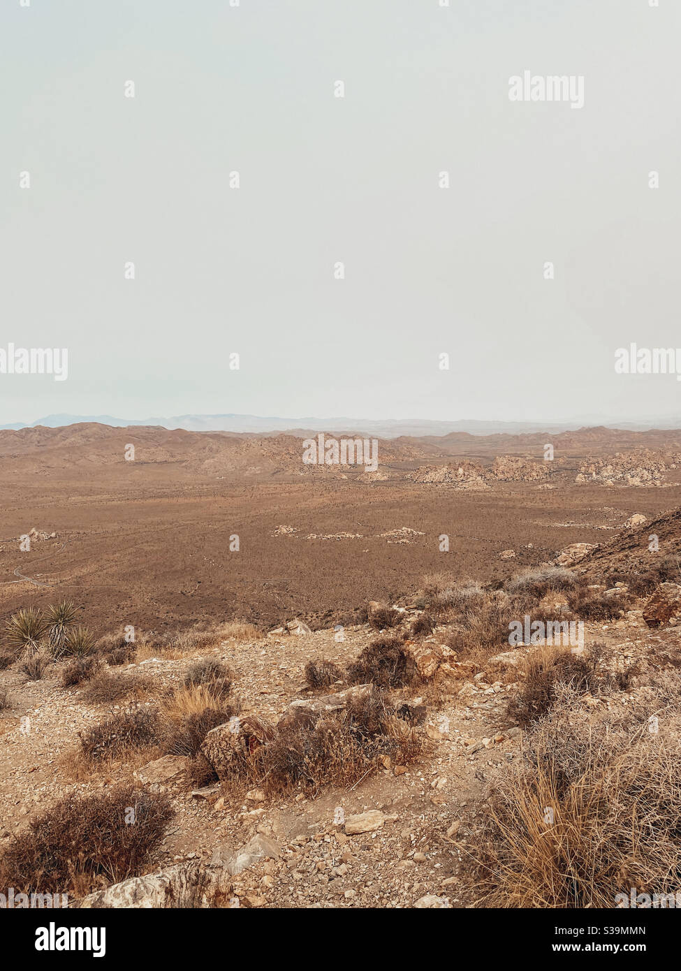 Vista sulla valle del deserto Foto Stock