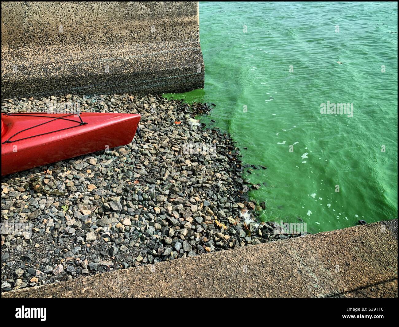 La fioritura dannosa di cianobatteri dà a questo grande serbatoio nel Connecticut una tinta blu-verde. Non è possibile utilizzare un kayak. L'esposizione alla fioritura delle alghe può essere dannosa. Foto Stock