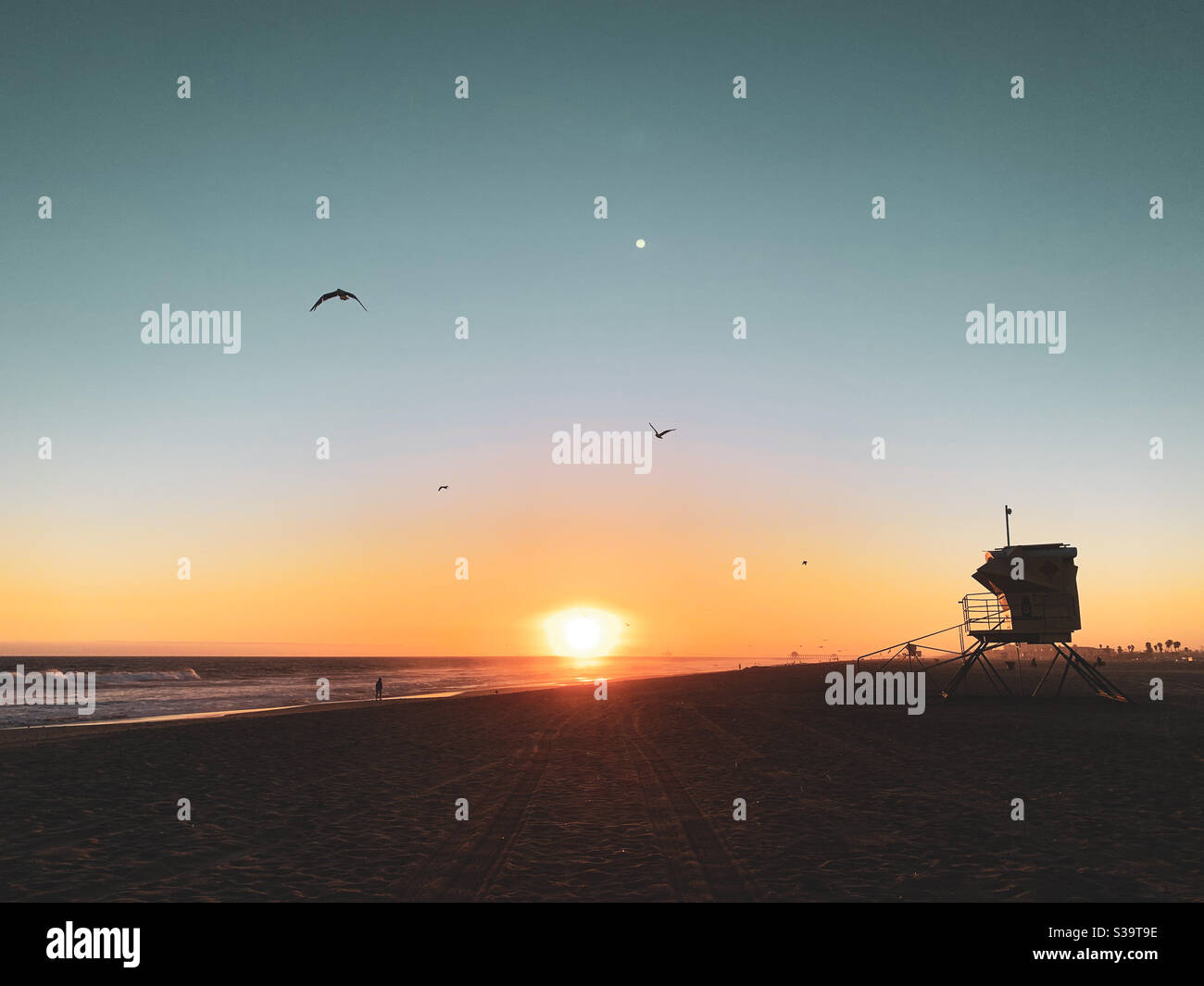 Spiaggia della California con stazione bagnino al tramonto con gabbiani nel cielo limpido e luminoso. Foto Stock