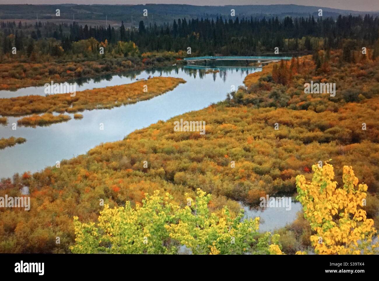 Alberta viaggia, Elbow River, Glenmore Reservoir, autunno, colori autunnali Foto Stock