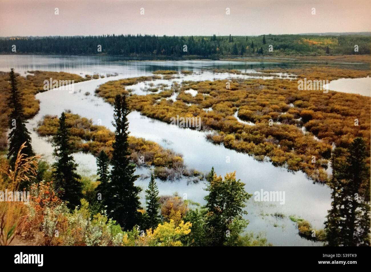 Alberta viaggia, Elbow River, Glenmore Reservoir, autunno, colori autunnali Foto Stock