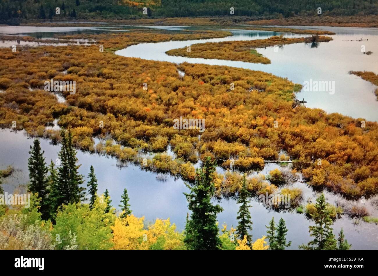 Alberta viaggia, Elbow River, Glenmore Reservoir, autunno, colori autunnali Foto Stock