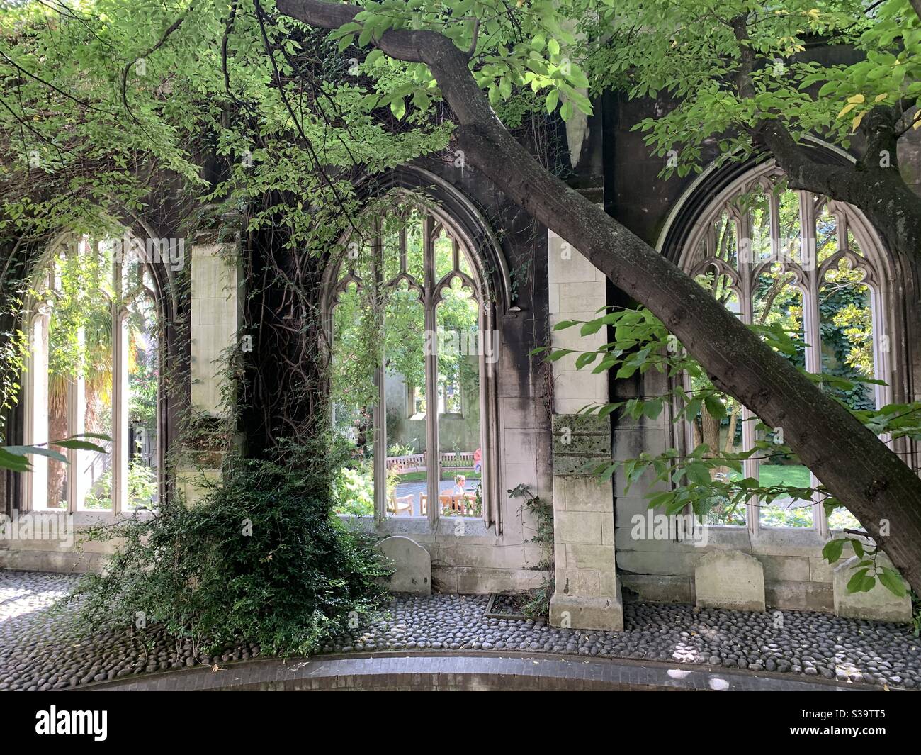 Albero e tre archi finestra a st dunstan nel est - Immagine stock catturata con smartphone