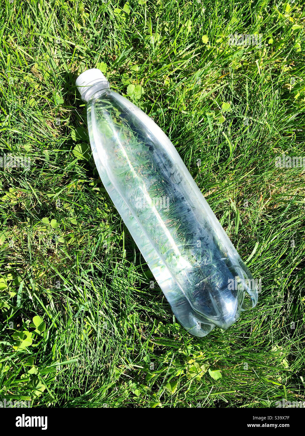 Bottiglia di acqua fredda riposante su prato erboso Foto Stock