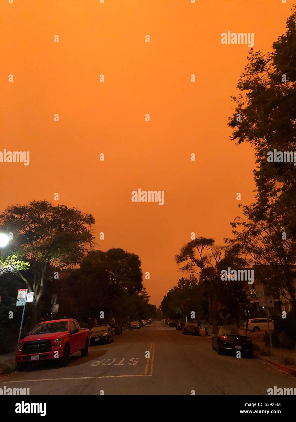 Guardando a nord su Benvenue, nel quartiere Elmwood di Berkeley, California, il 9 settembre 2020. Cielo rosso a causa di incendi. Tarda mattinata. Foto Stock