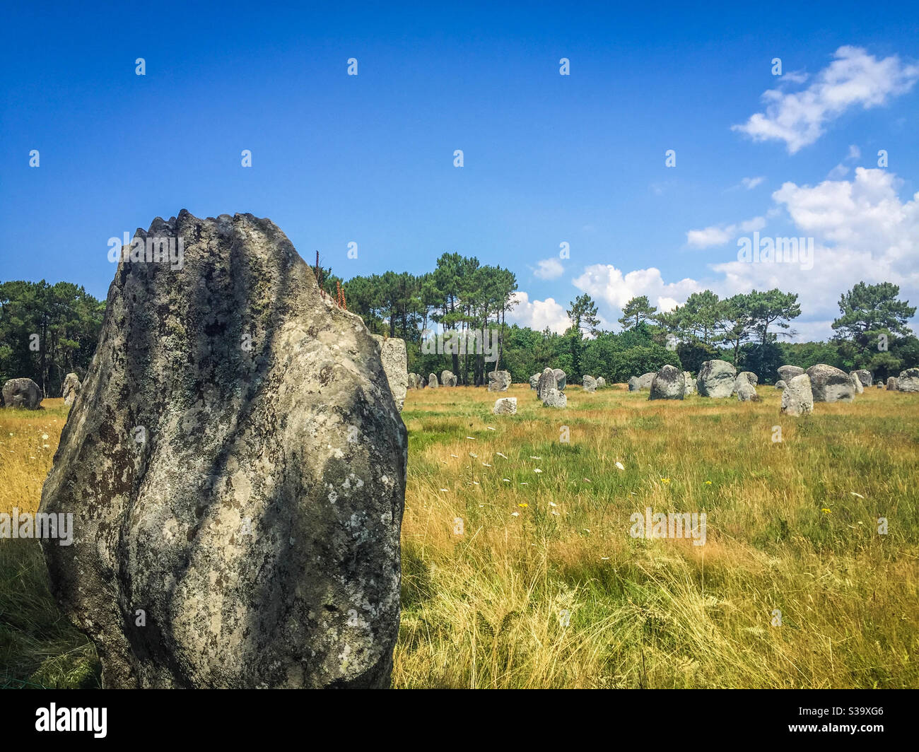 Pietre in piedi a Carnac, Bretagna, Francia Foto Stock