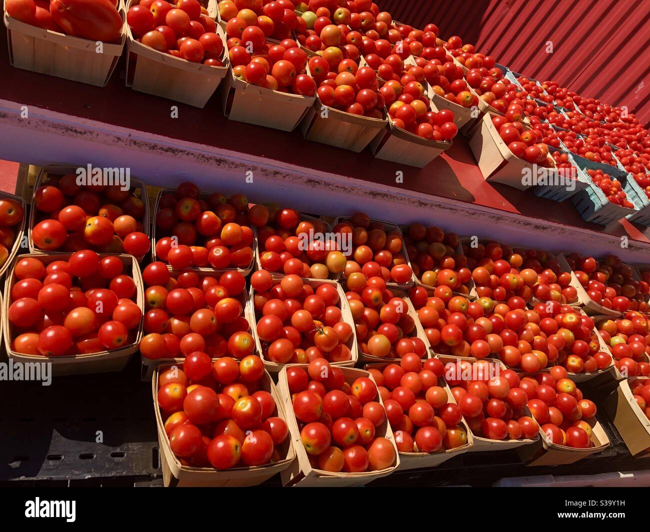 Pomodori ciliegini al mercato agricolo Foto Stock