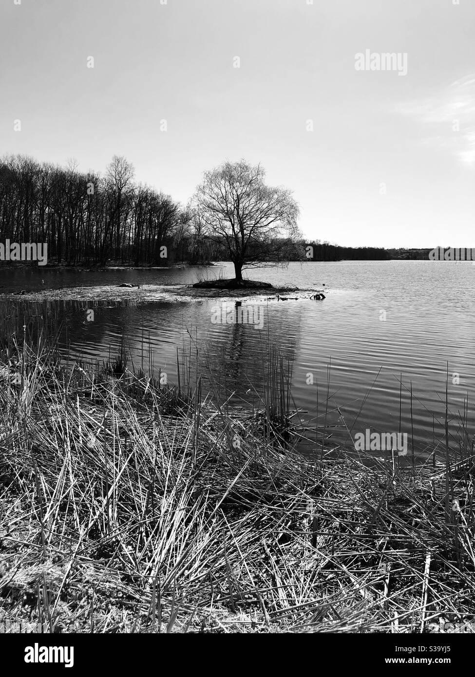 Lago Kensington Foto Stock
