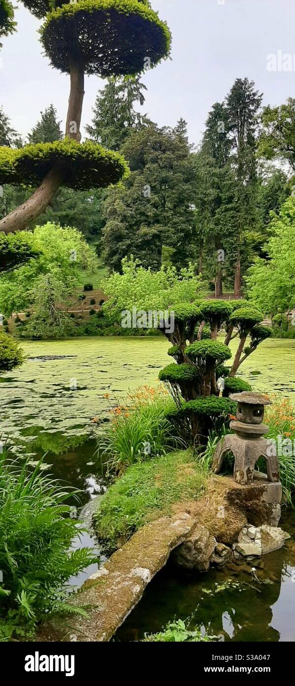 Giardini giapponesi Francia - Immagine stock catturata con smartphone
