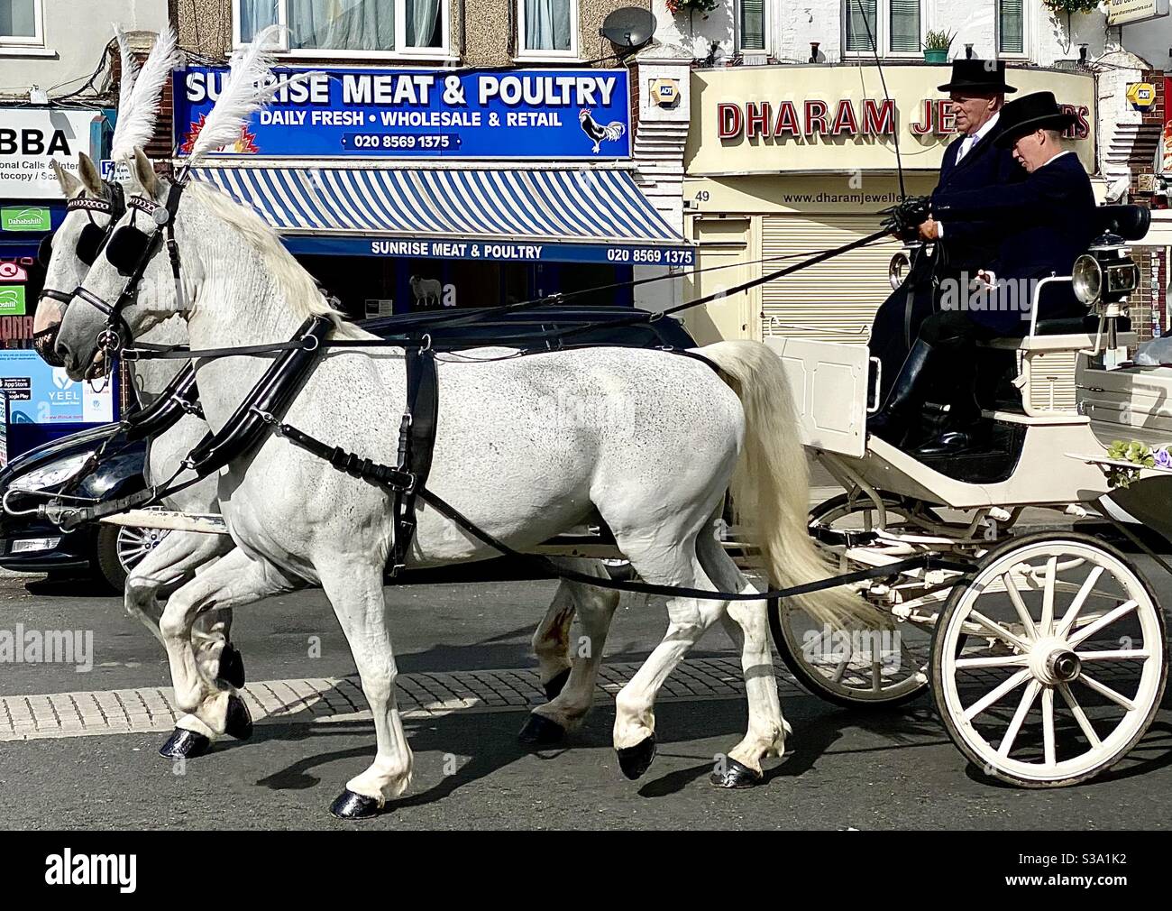 Cavallo e carrozza a ovest di Londra Foto Stock