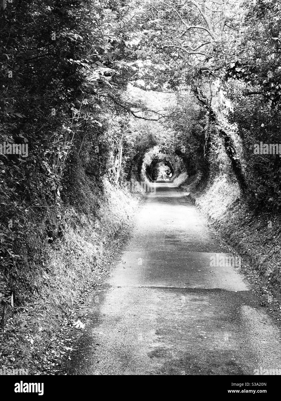 la via del ritorno - Immagine stock catturata con smartphone