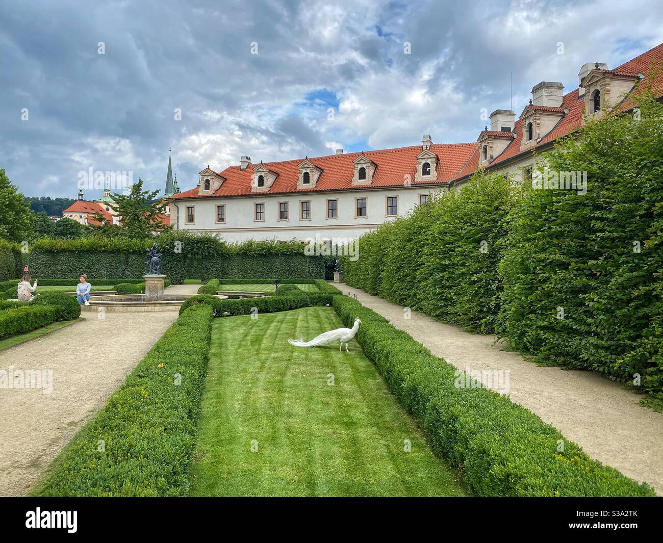 Pavone bianco che vive nel giardino di Wallenstein (Valdstejnska zahrada) nel cuore di Praga. - Immagine stock catturata con smartphone