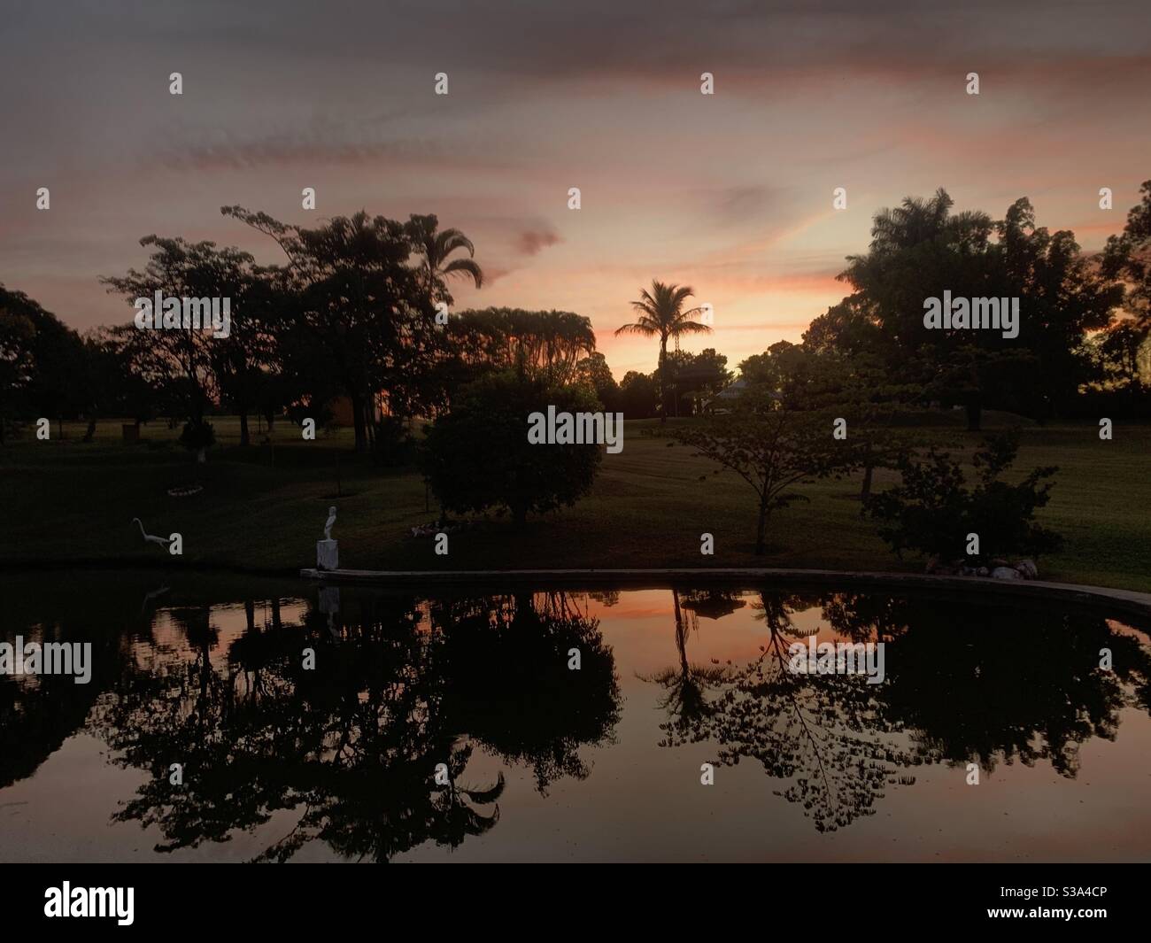 tramonto con alberi e piante in azienda con un lago che riflette il sole in acqua. Foto Stock