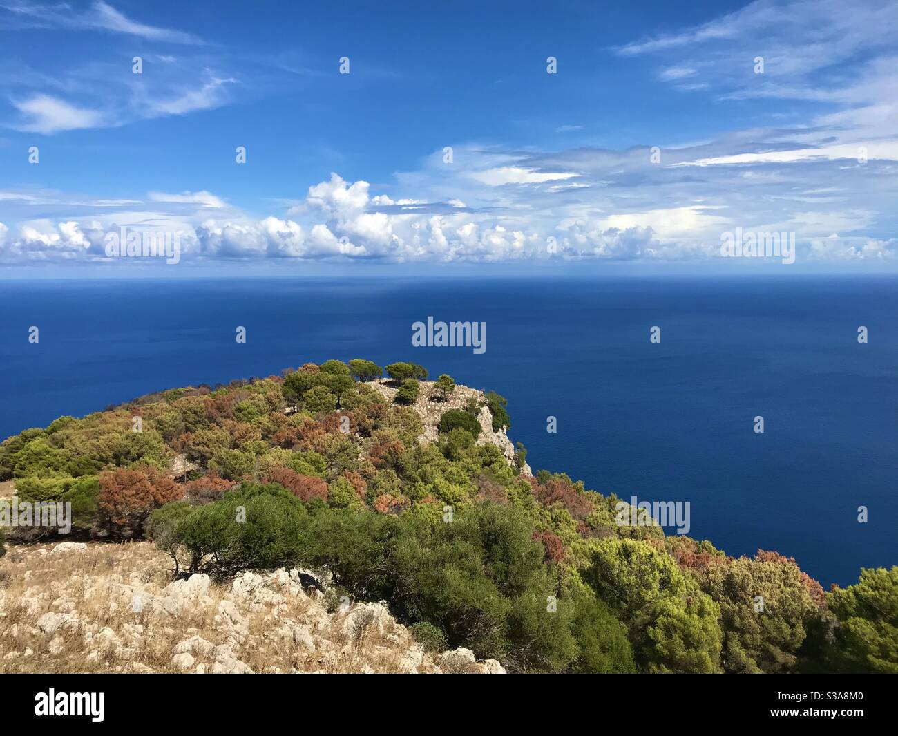 Viste di MONTEPELLEGRINO Foto Stock