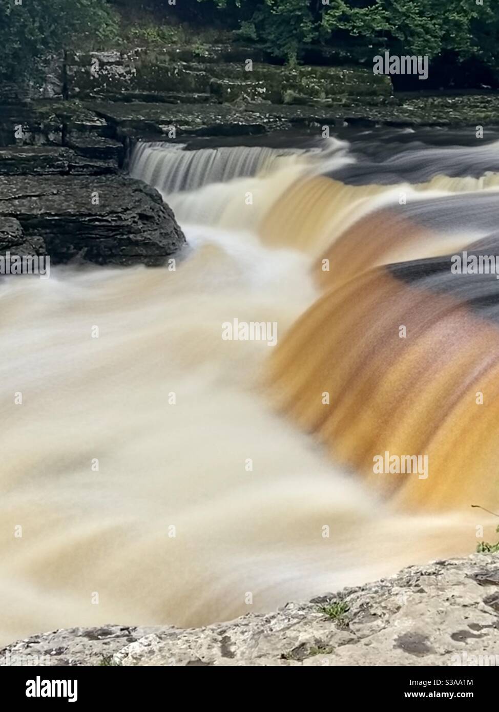 Cascate di Aysgarth, Aysgarth, Yorkshire con acqua liscia Foto Stock Cascate di Aysgarth, Aysgarth, Yorkshire con acqua liscia Foto Stock