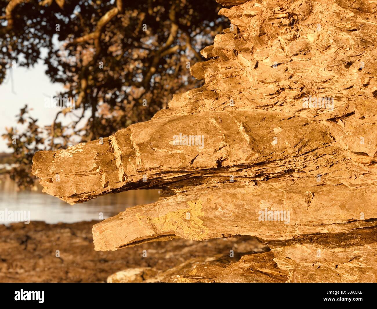 Il cane faccia roccia alla bocca di pillola Creek - Immagine stock catturata con smartphone