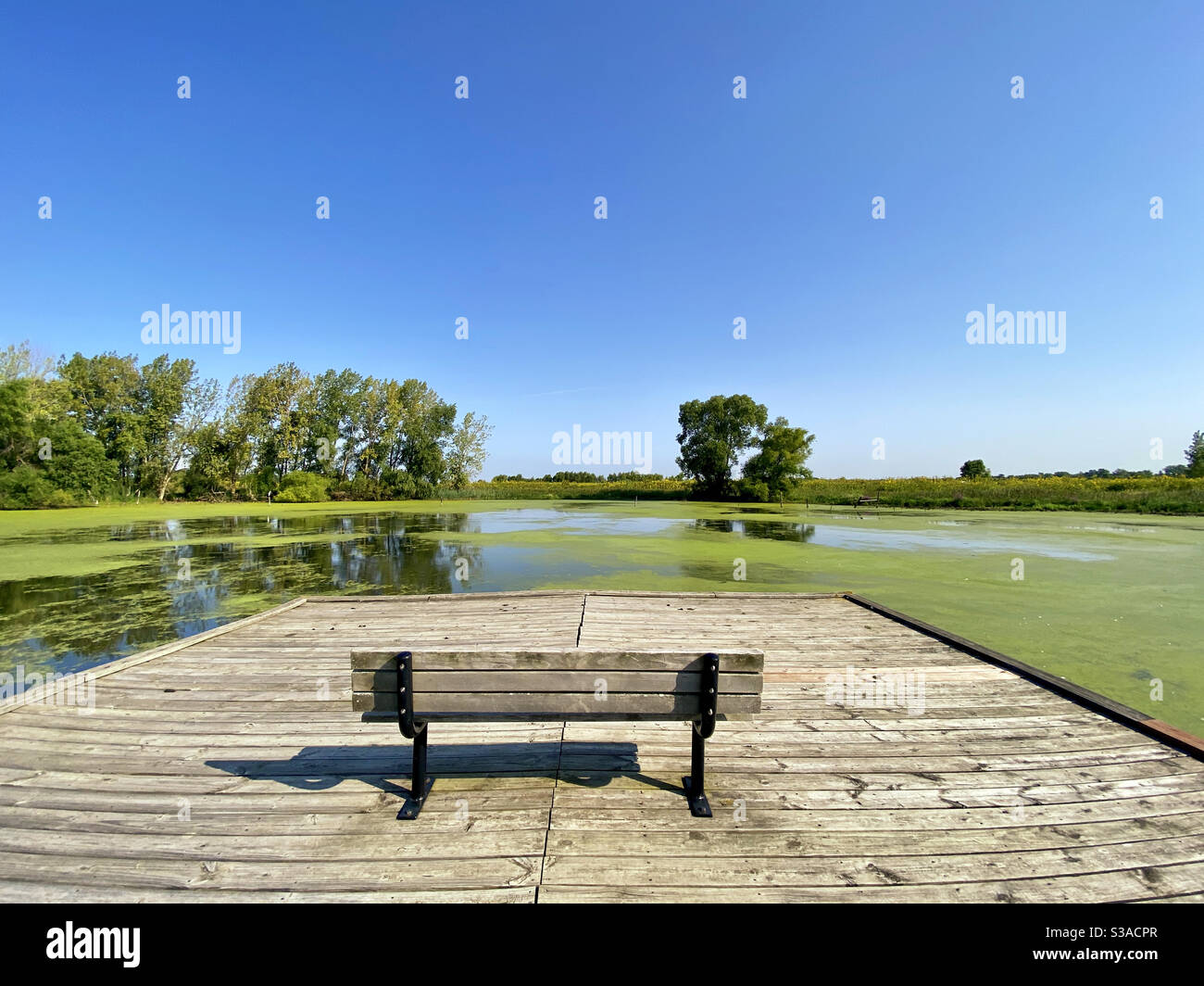 Panchina nella riserva forestale di Rollins Savanna a Grayslake, Illinois - Immagine stock catturata con smartphone