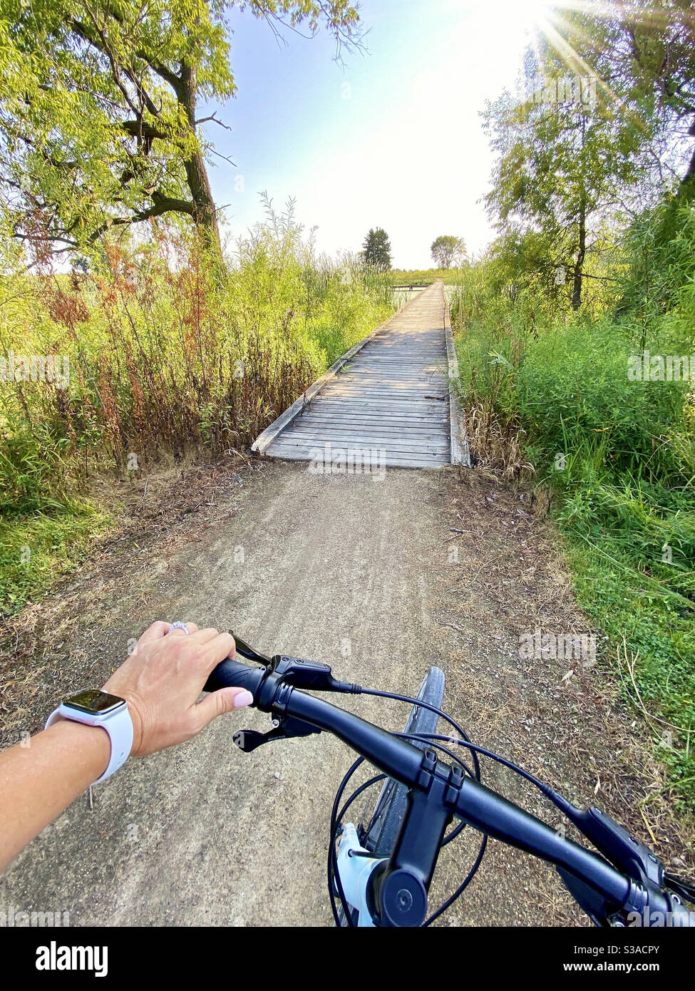 Passeggiate in bicicletta nella riserva naturale della foresta di Rollins Savanna a Grayslake, Illinois Foto Stock