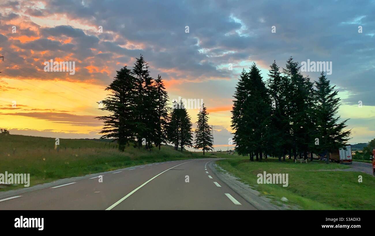 Strada con alberi al tramonto Foto Stock