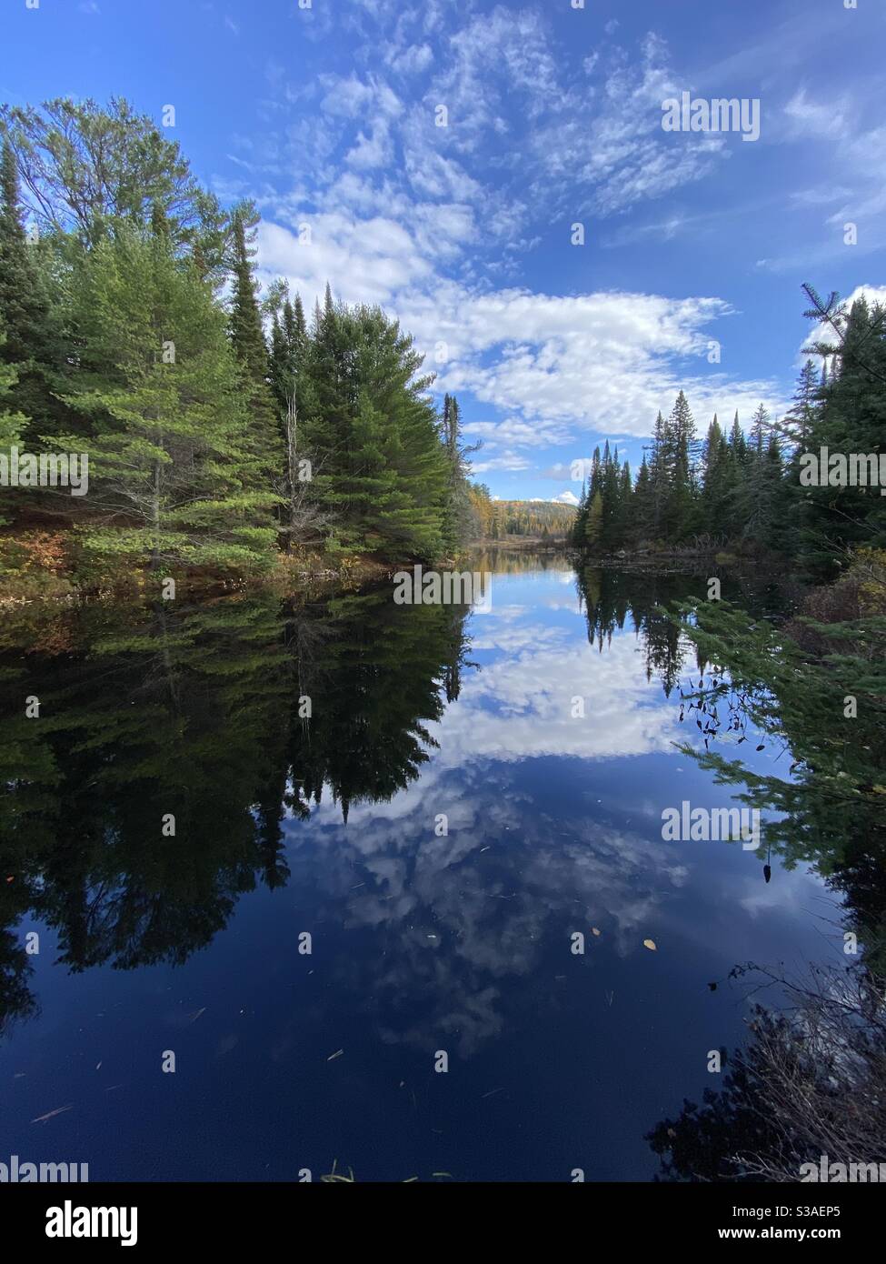 Narici del lago settentrionale circondati da pini bianchi e conifere. Lago di Opeongo, parco provinciale di Algonquin. Autunno 2020 che mostra il cielo blu e le riflessioni nuvolose sull'acqua still Foto Stock