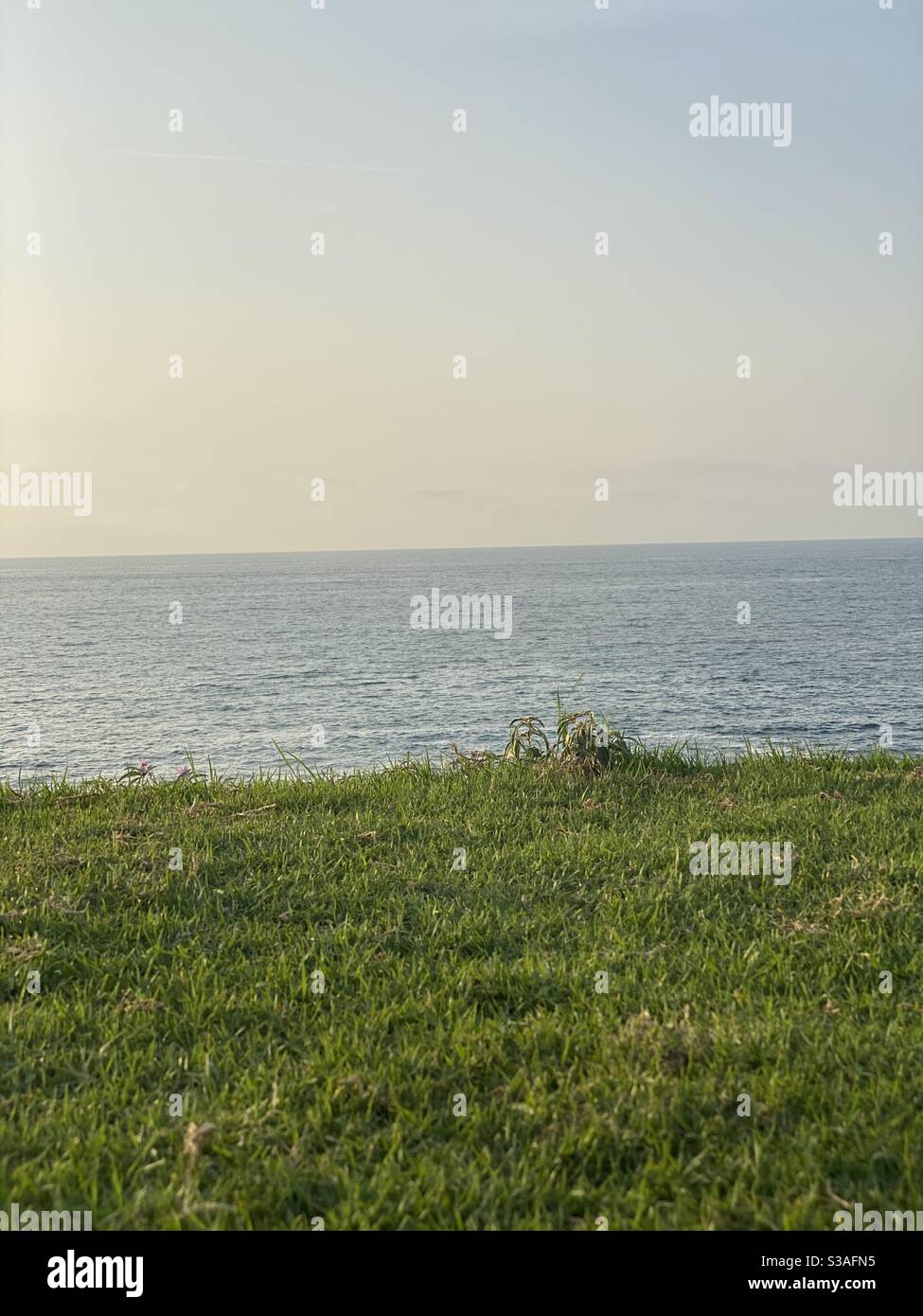 Spiaggia, Oceano, calma, relax, serenità, amore, cielo blu, erba, meditazione, potere, verde Foto Stock