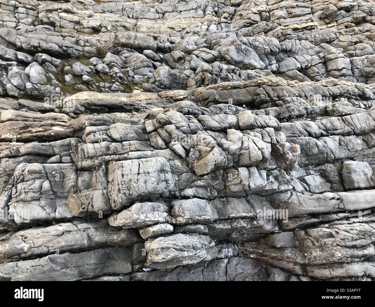 Pieghe geologiche di pietra calcarea nera, penisola di Gower, Galles Foto Stock