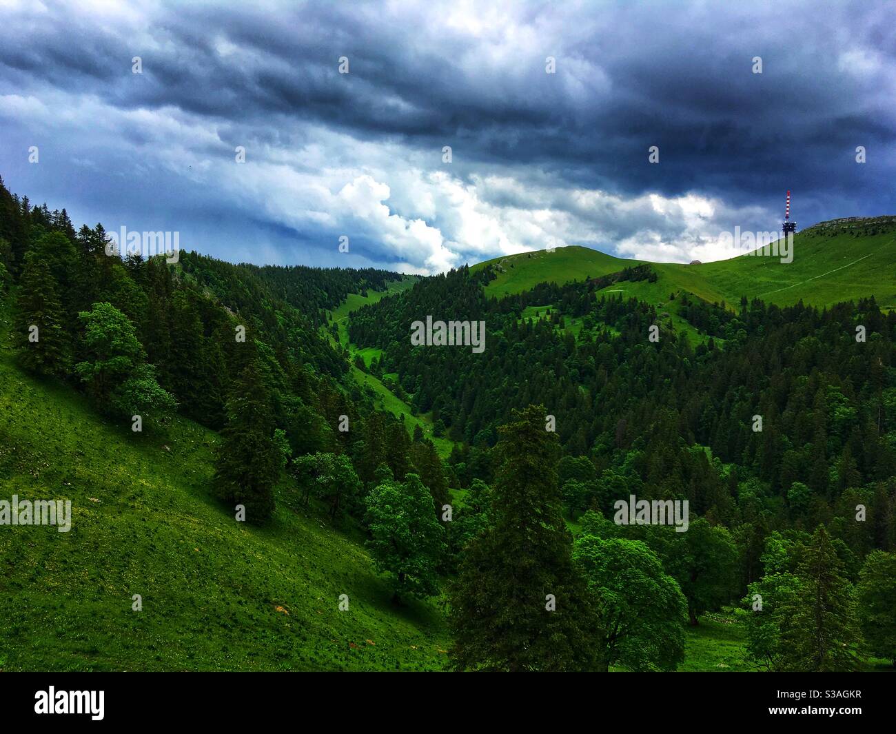 montagne del giura, Chasseral, Svizzera, paesaggio Foto Stock