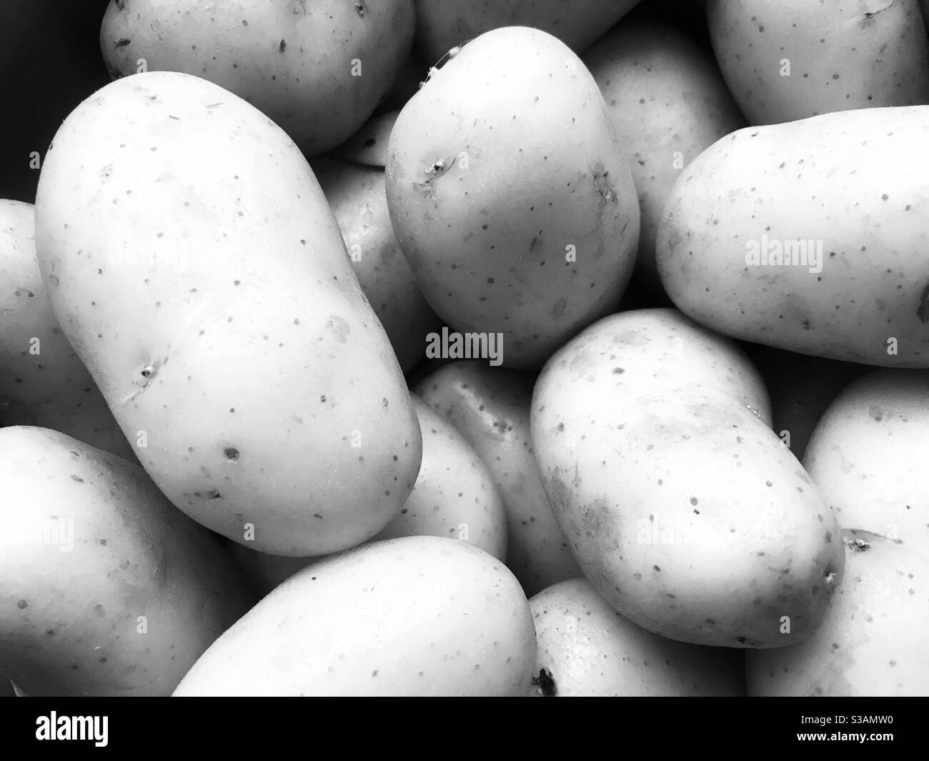 patate in un palo in bianco e nero Foto Stock
