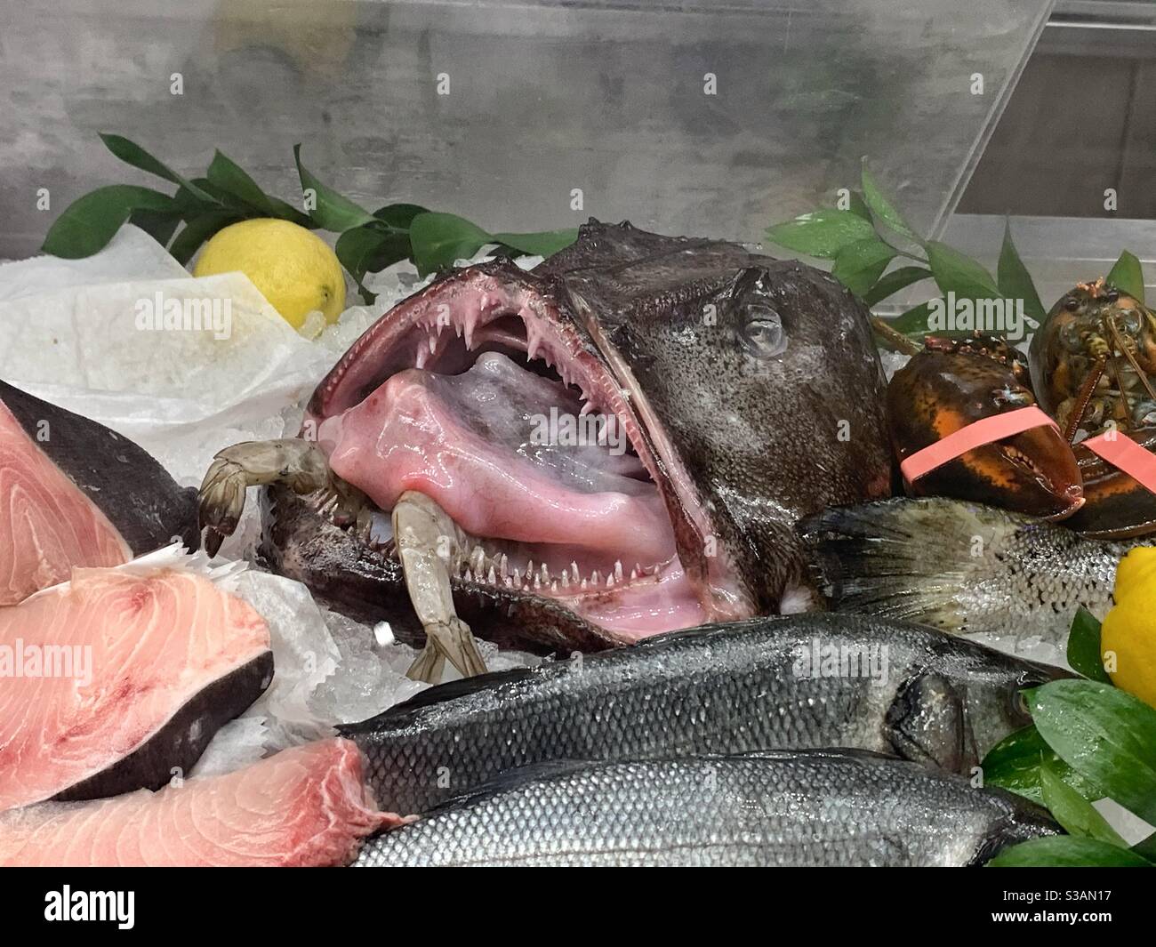 Brutto pesce mostra - Immagine stock catturata con smartphone
