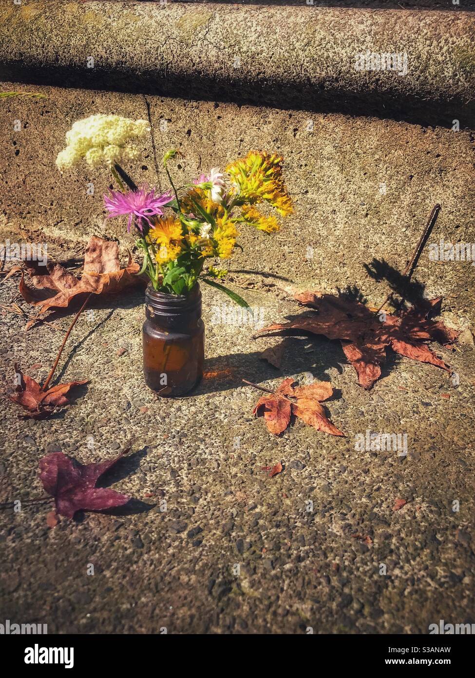 Autunno posy di fiori selvatici in una bottiglia marrone con sole autunno, ombra e foglie Foto Stock