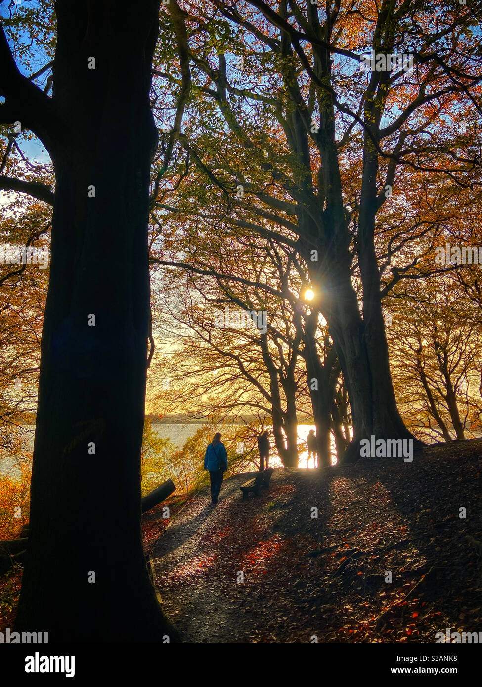 Famiglia a piedi a Anglezark vicino a Chorley. Camminando nel tardo pomeriggio sole attraverso i boschi in un giorno d'autunno - Immagine stock catturata con smartphone