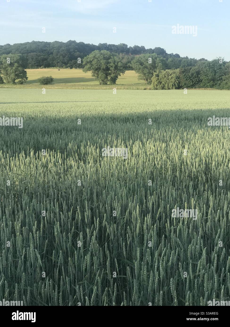 Campo aperto nella campagna del Kent, Regno Unito - Immagine stock catturata con smartphone