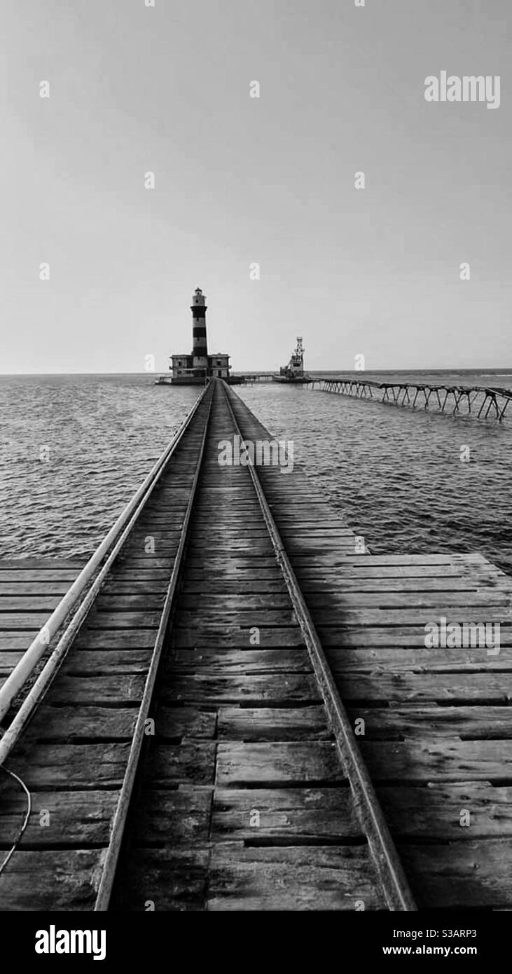 Dedalus Reef, immersioni con gli squali, Livaboard Paradise, teste di martello Foto Stock