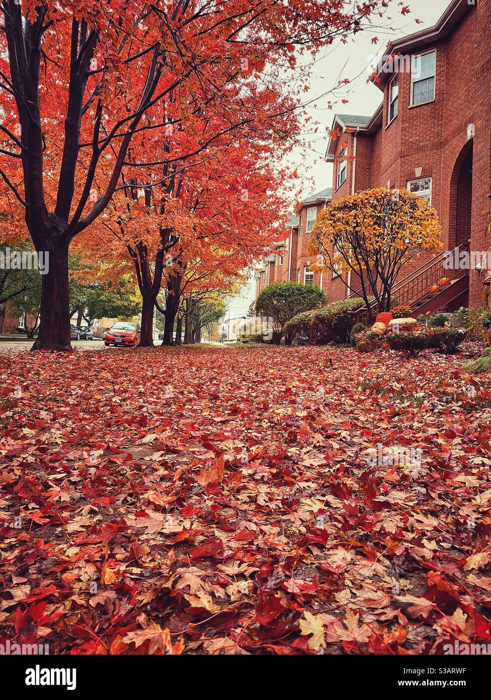 Colori di autunno Foto Stock