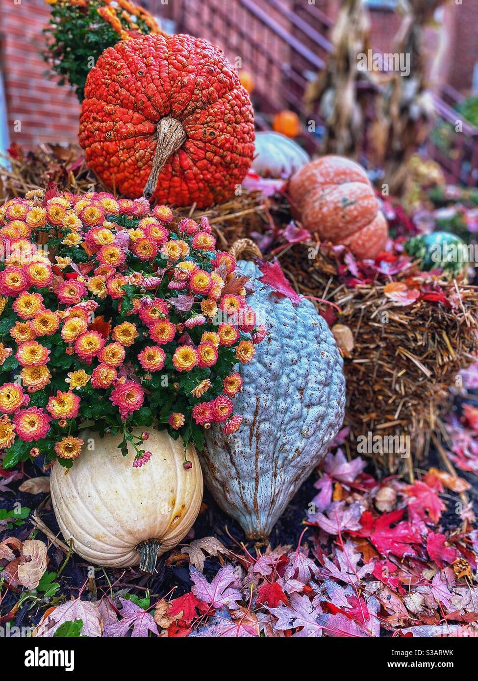 Decorazione di zucca e fiori d'autunno con foglie a terra Foto Stock