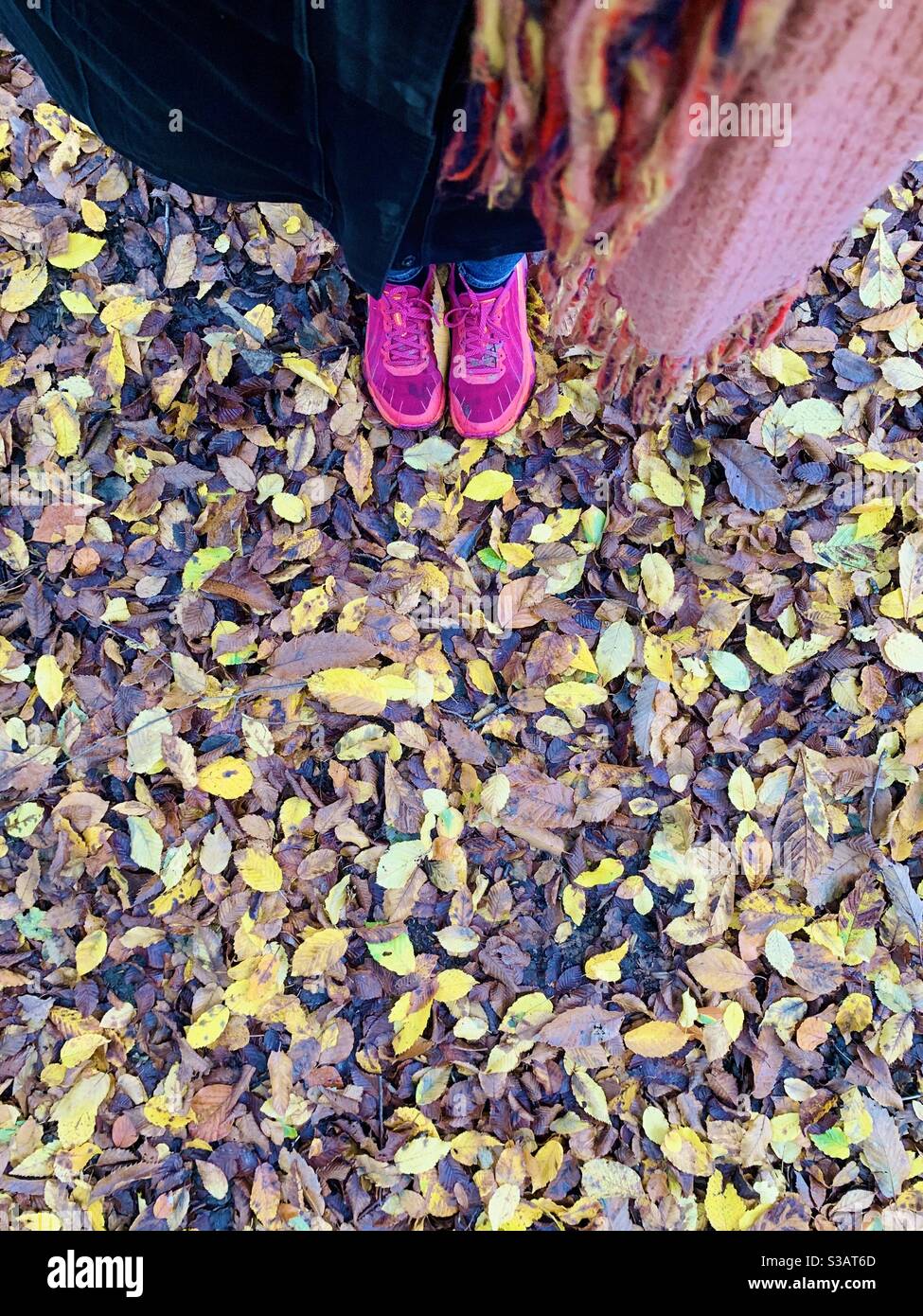 In piedi in foglie di autunno Foto Stock